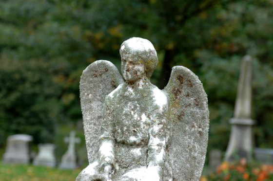 Image: Mt. Auburn in Cambridge, Mass.